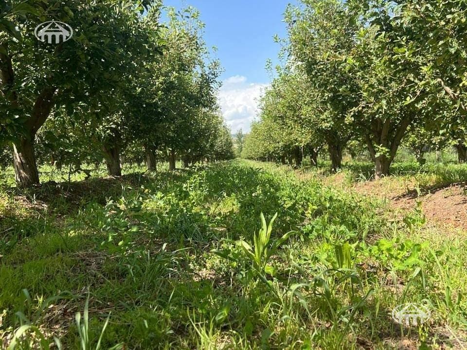Land · 9,250 m² · Ashtarak