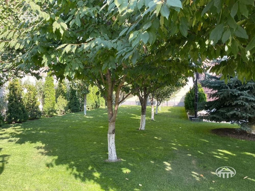Mansion · 5 rooms · 314 m² · Ptgni