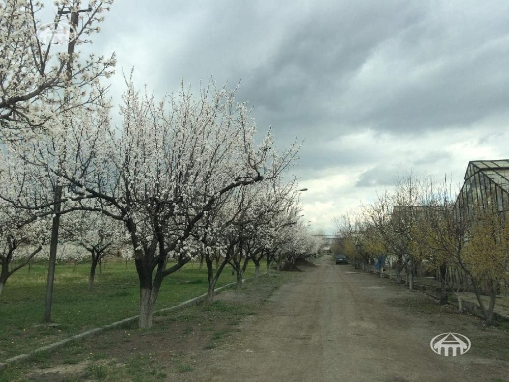 Other · 5,000 m² · Shengavit
