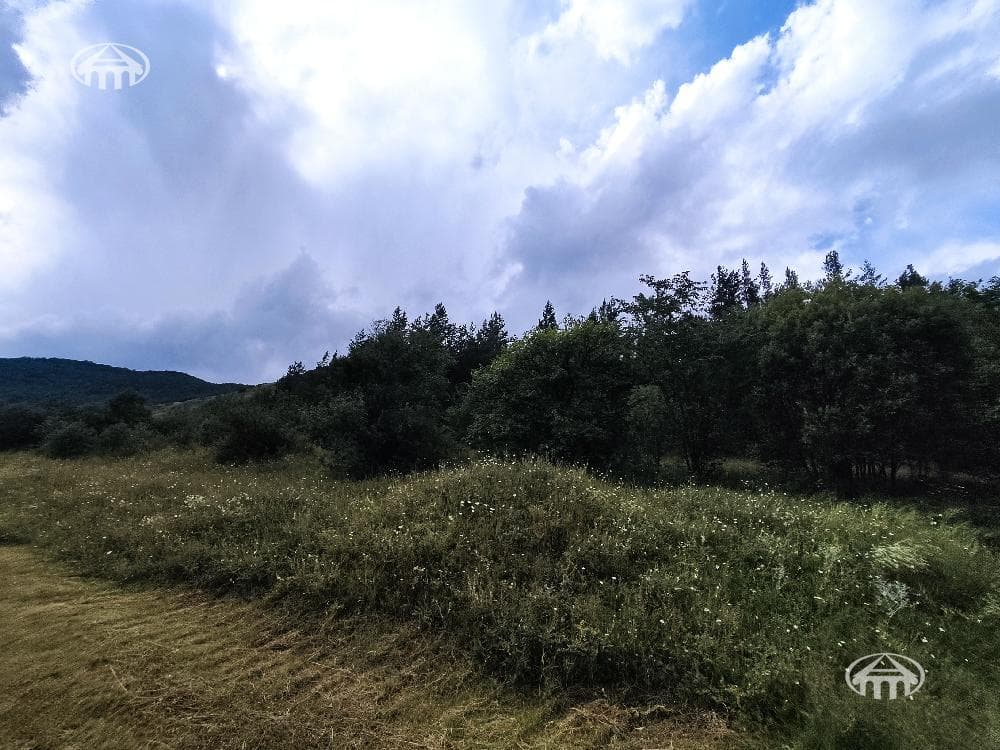 Հողատարածք · 25 000 մ² · Մեղրաձոր
