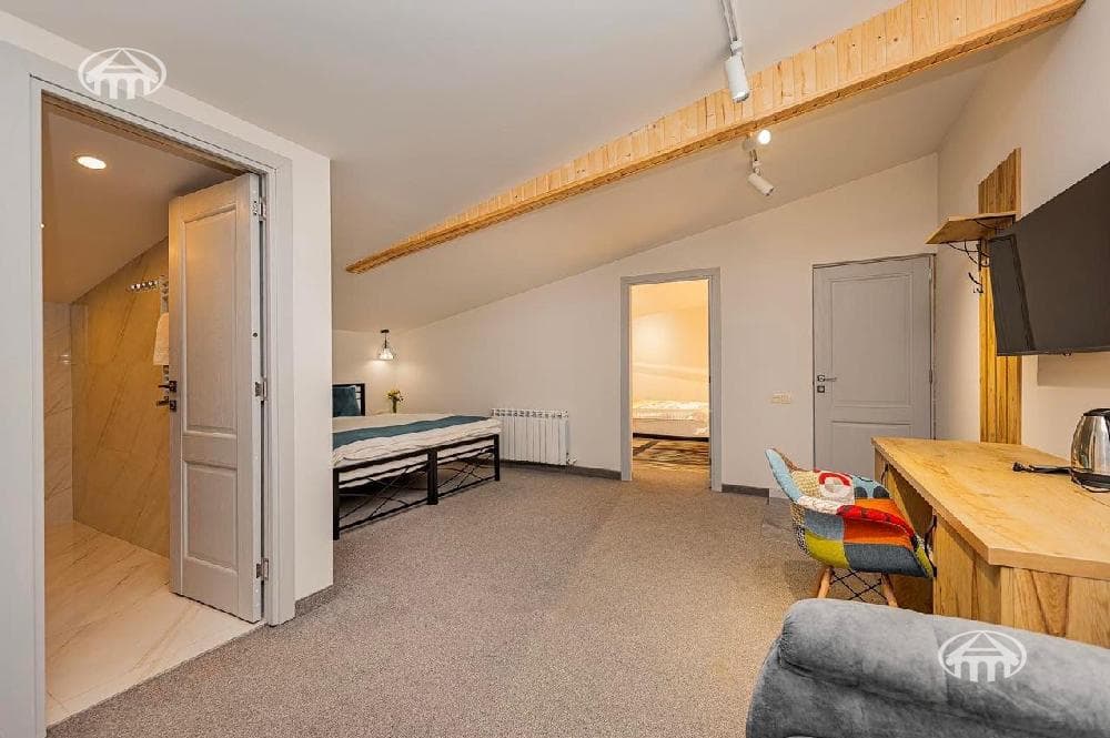 Hotel · 9 rooms · 234 m² · Dilijan