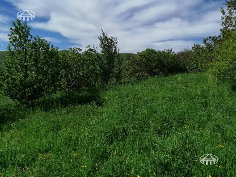 Հողատարածք · 3560 մ² · գ. Արտավան