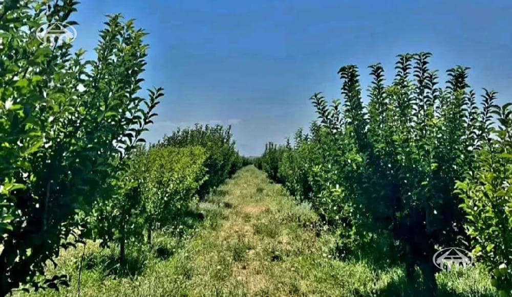 Հողատարածք · 23 562 մ² · Եղվարդ