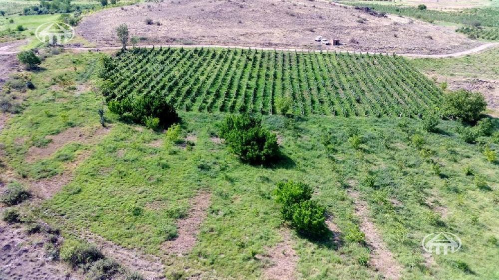 Land · 37,600 m² · Aragatsotn