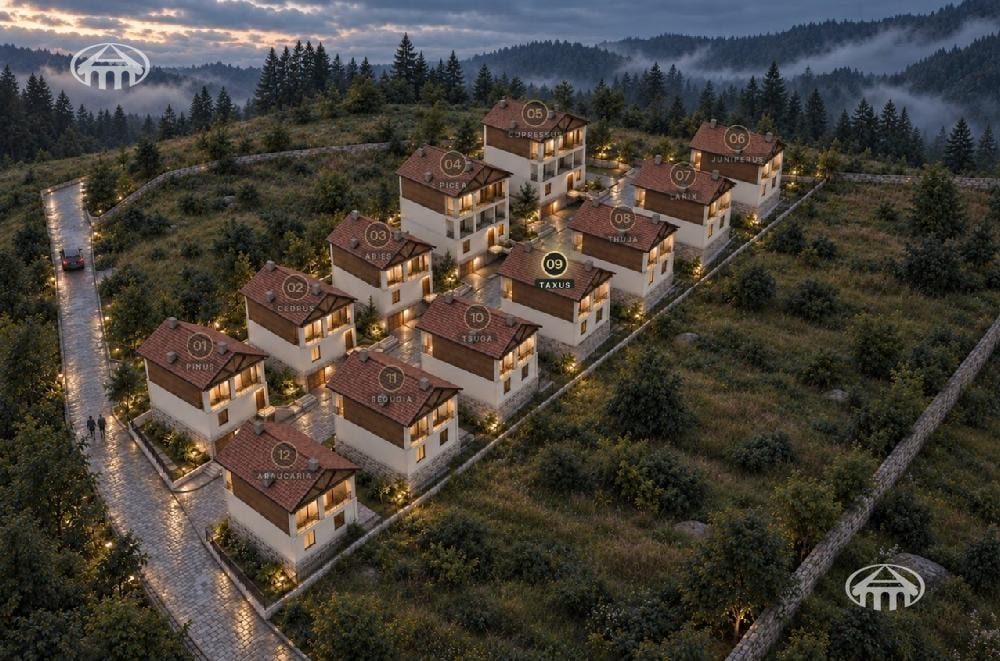 Mansion · 5 rooms · 234 m² · Dilijan