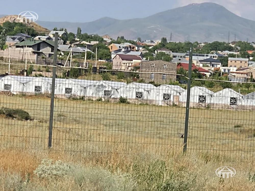 Հողատարածք · 2000 մ² · Պտղնի