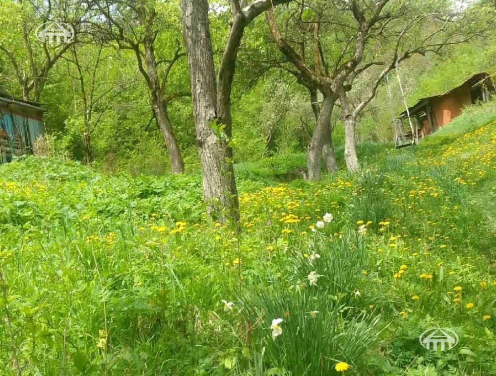 Land · 1,655 m² · Dilijan