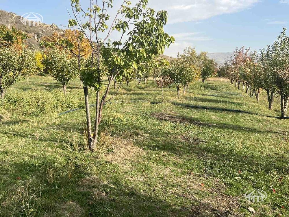Участок · 2 810 м² · Катнахпюр