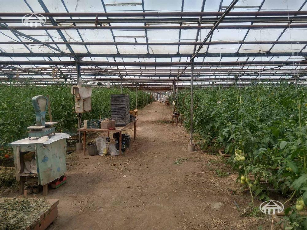 Այլ · 142 մ² · Էրեբունի
