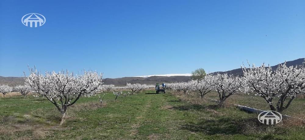 Land · 39,570 m² · Lusakn