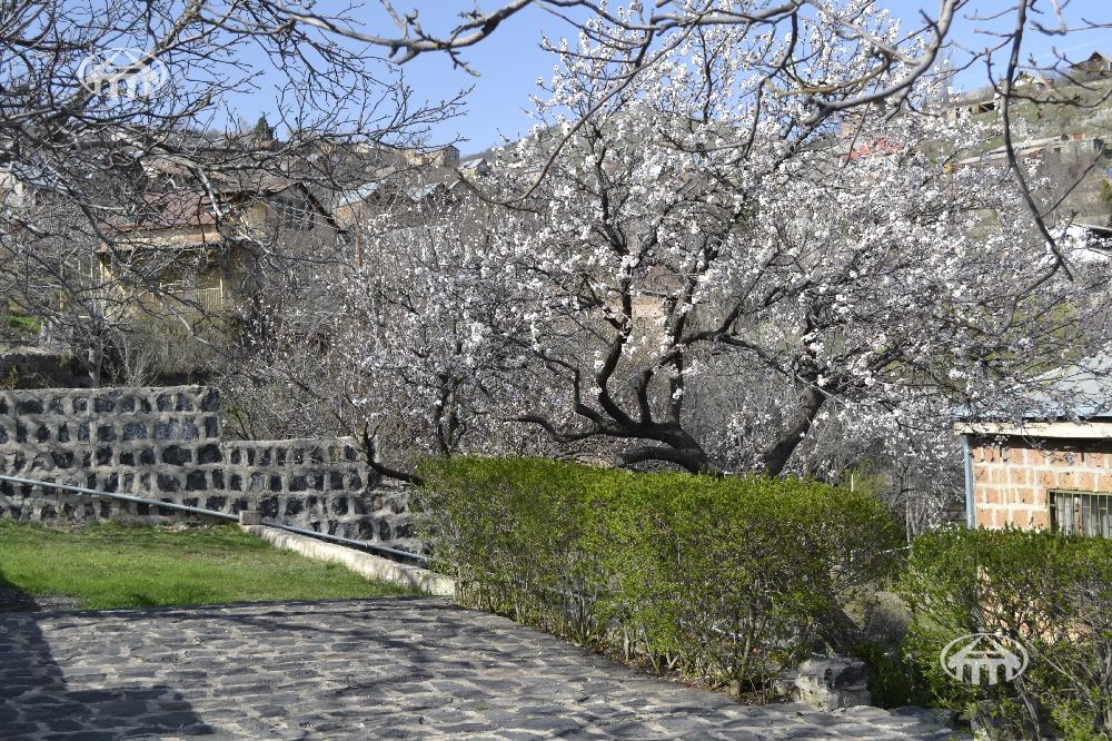 Արզական, Կոտայքի մարզ